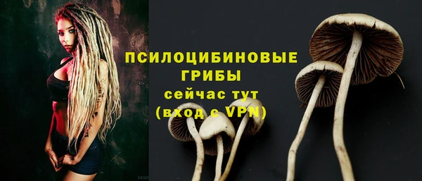 СК Алексеевка